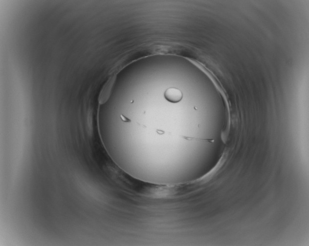 X0000113160094200909111023