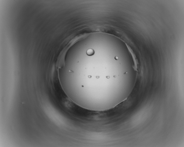 X0000113160095200909111023