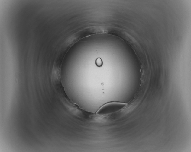 X0000113160096200909111023