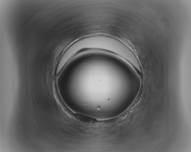 X0000113160097200909111022