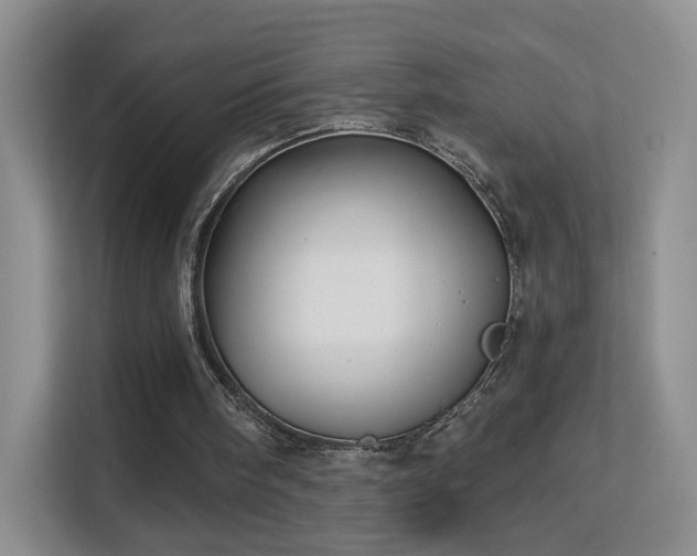 X0000113160098200909111022