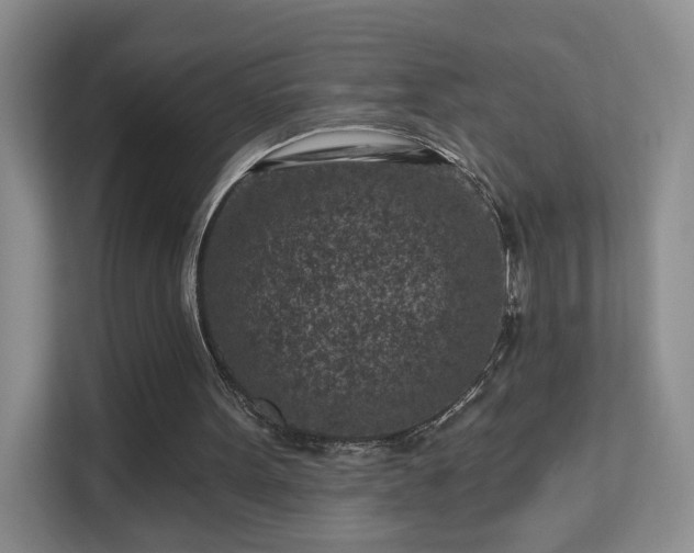 X0000113160099200909111022