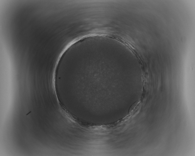 X0000113160100200909111022