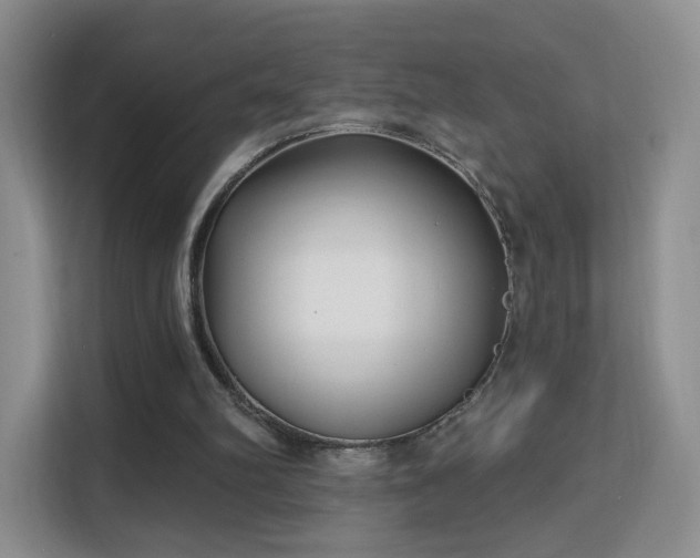 X0000113160102200909111022