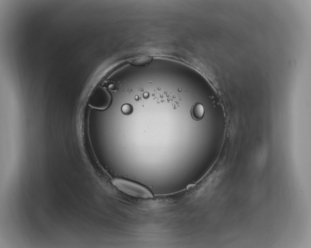 X0000113160103200909111022