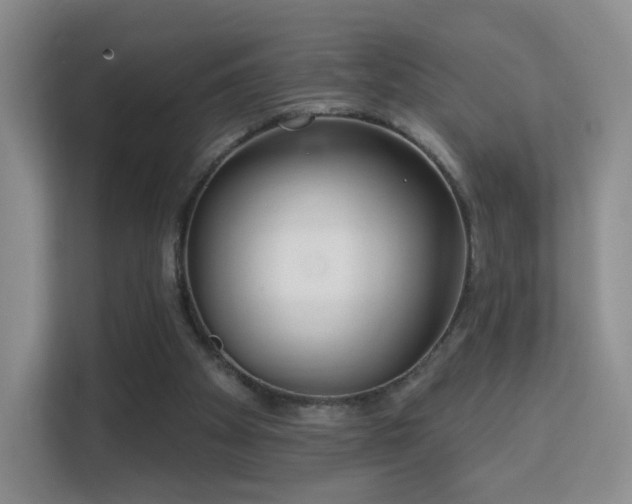 X0000113160105200909111022