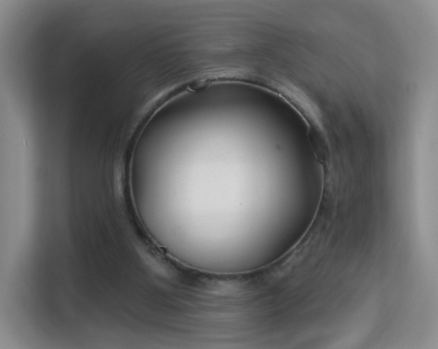 X0000113160107200909111022