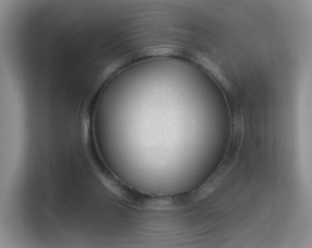 X0000113160110200909111022