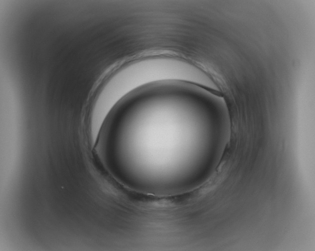 X0000113160112200909111022