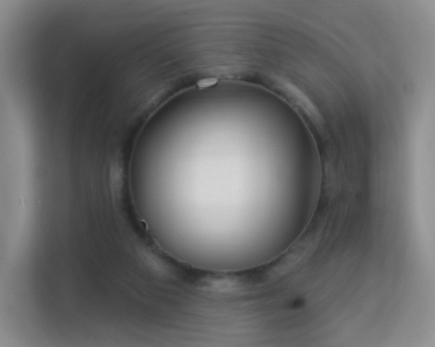 X0000113160113200909111022