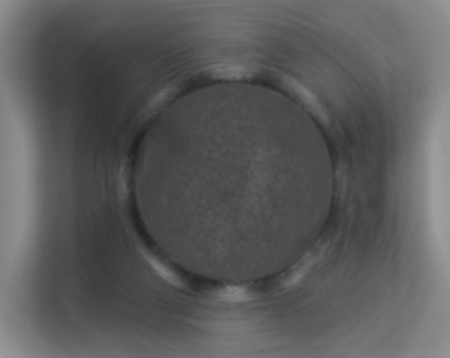 X0000113160114200909111022