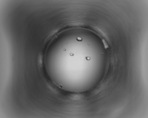 X0000113160115200909111022