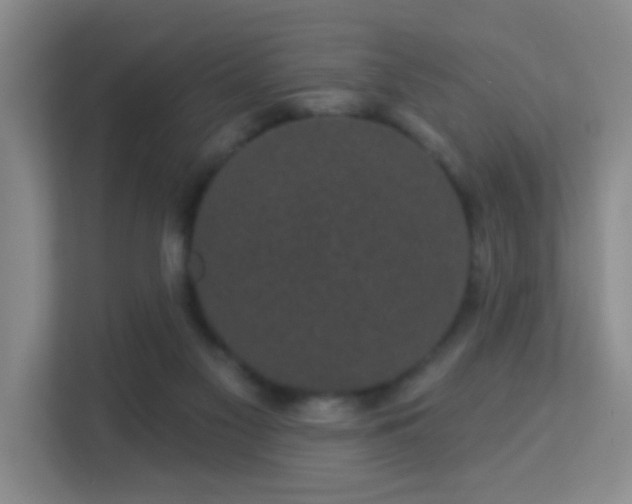 X0000113160117200909111022