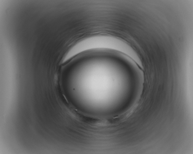 X0000113160124200909111022