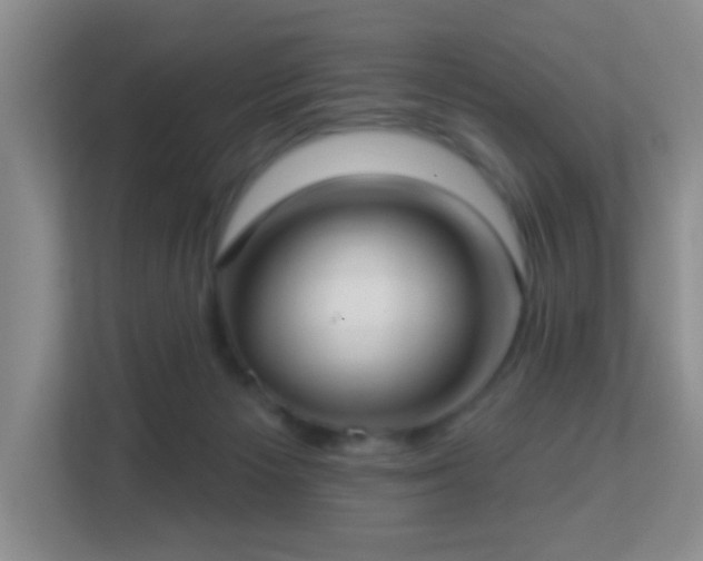 X0000113160125200909111022