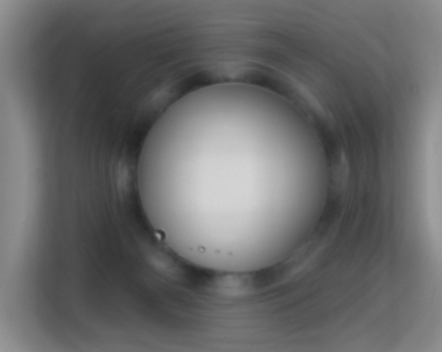 X0000113160126200909111022