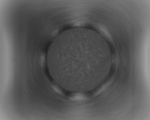 X0000113160127200909111022