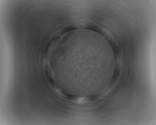 X0000113160130200909111022