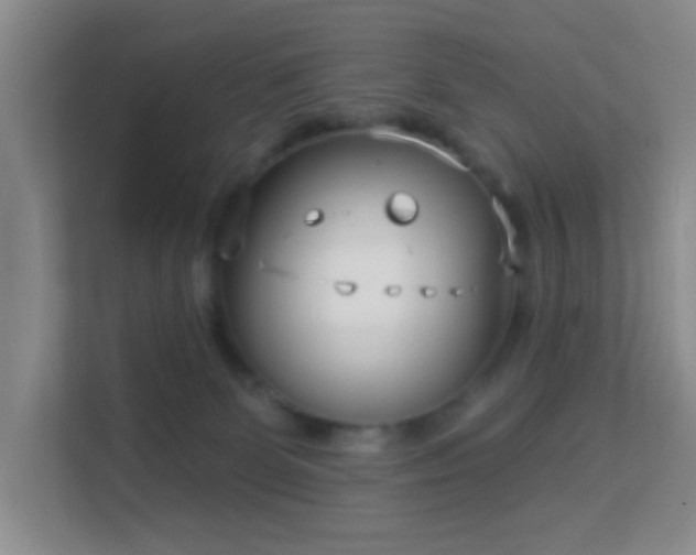 X0000113160131200909111022