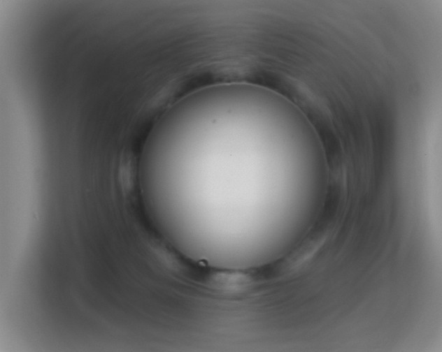 X0000113160133200909111022