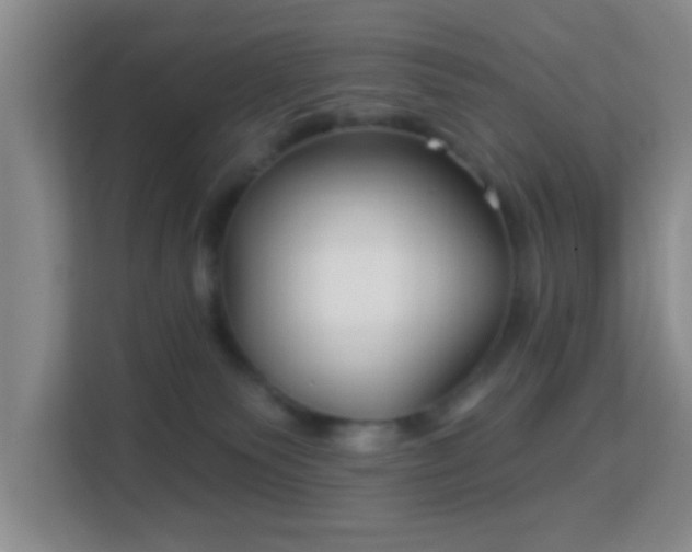 X0000113160135200909111022