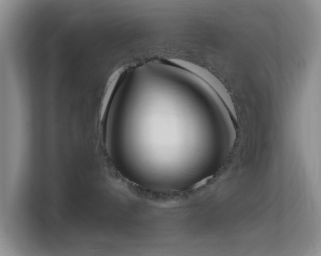 X0000113160144200909111022