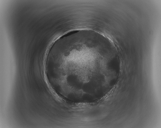 X0000113160145200909111021