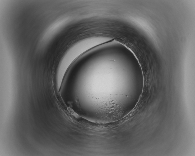 X0000113160146200909111021