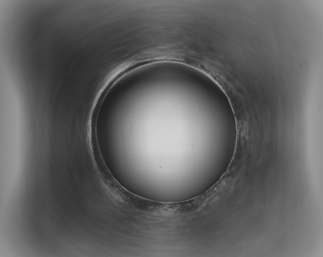 X0000113160148200909111021