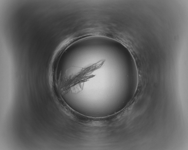X0000113160149200909111021