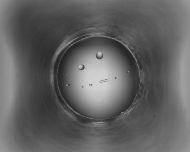 X0000113160150200909111021