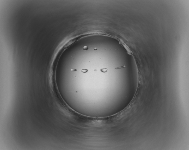 X0000113160152200909111021