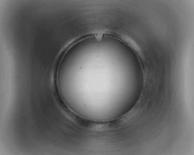 X0000113160155200909111021