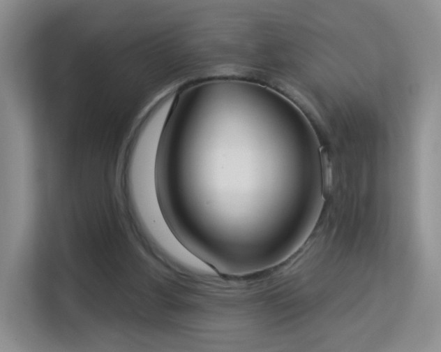 X0000113160156200909111021