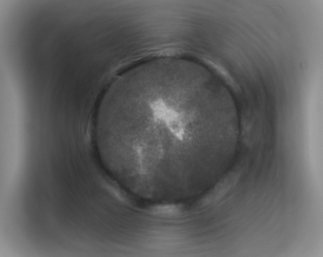 X0000113160161200909111021