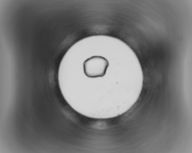 X0000113160162200909111021