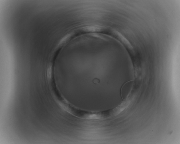 X0000113160163200909111021