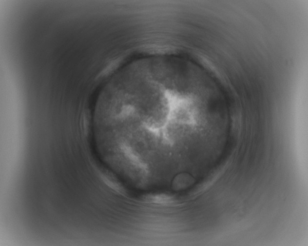 X0000113160165200909111021