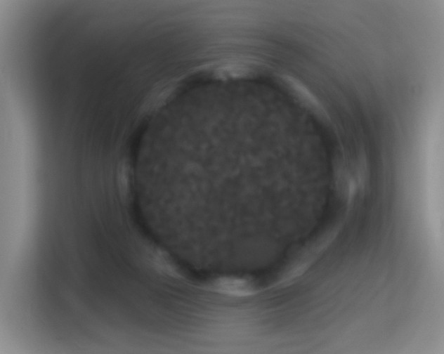 X0000113160169200909111021