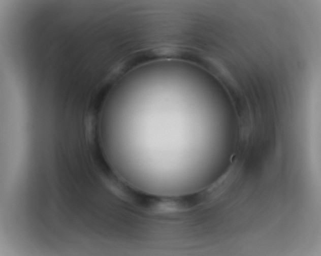 X0000113160171200909111021