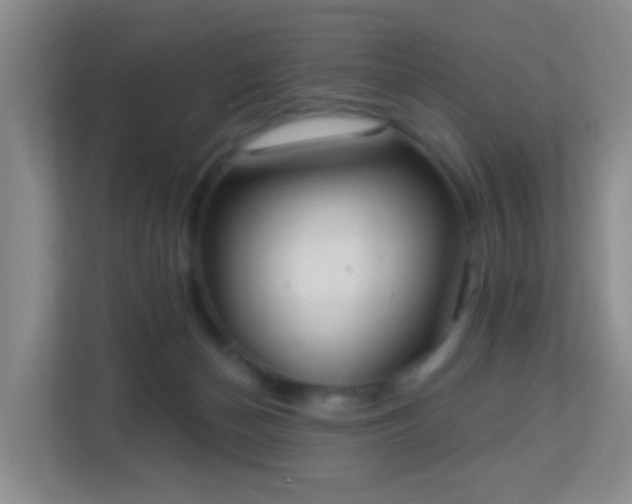 X0000113160174200909111022