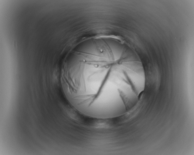 X0000113160175200909111022