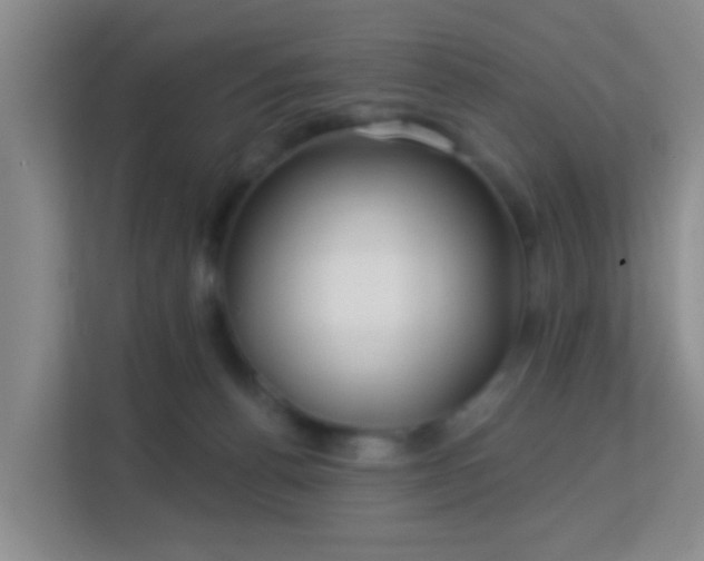 X0000113160176200909111022