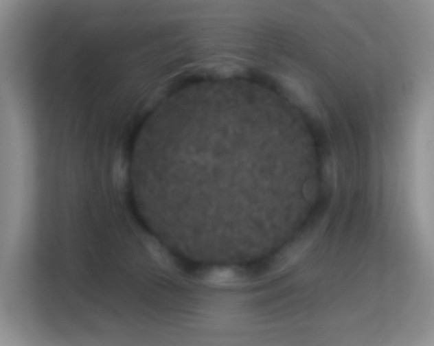 X0000113160177200909111022