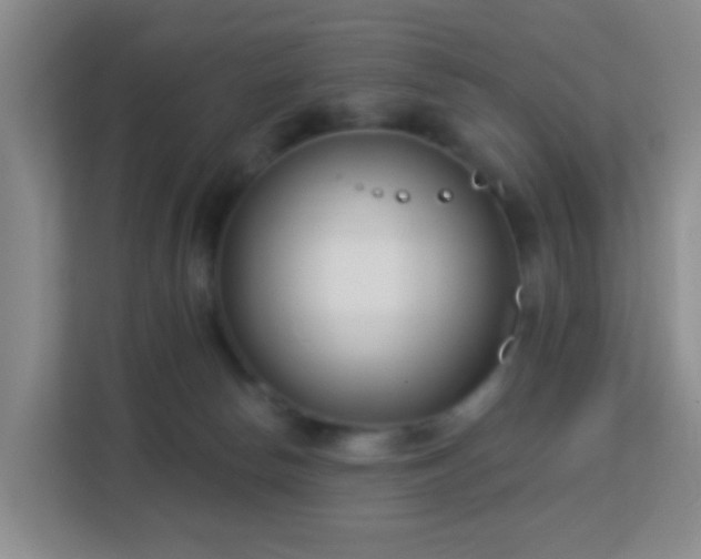 X0000113160178200909111022