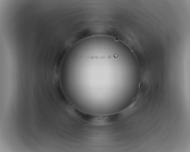 X0000113160179200909111022