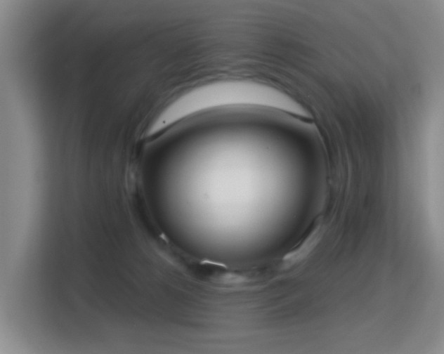 X0000113160180200909111022