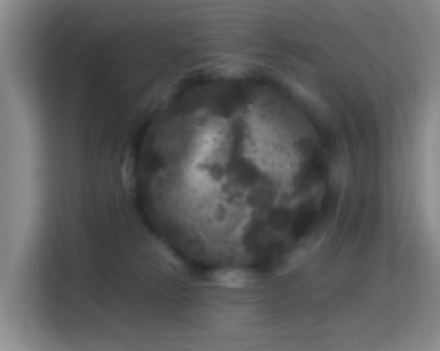 X0000113160181200909111022