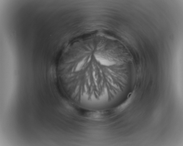 X0000113160182200909111022