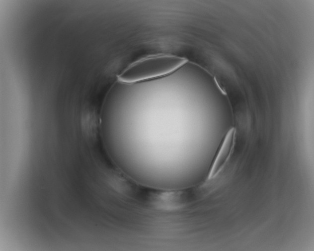 X0000113160184200909111022